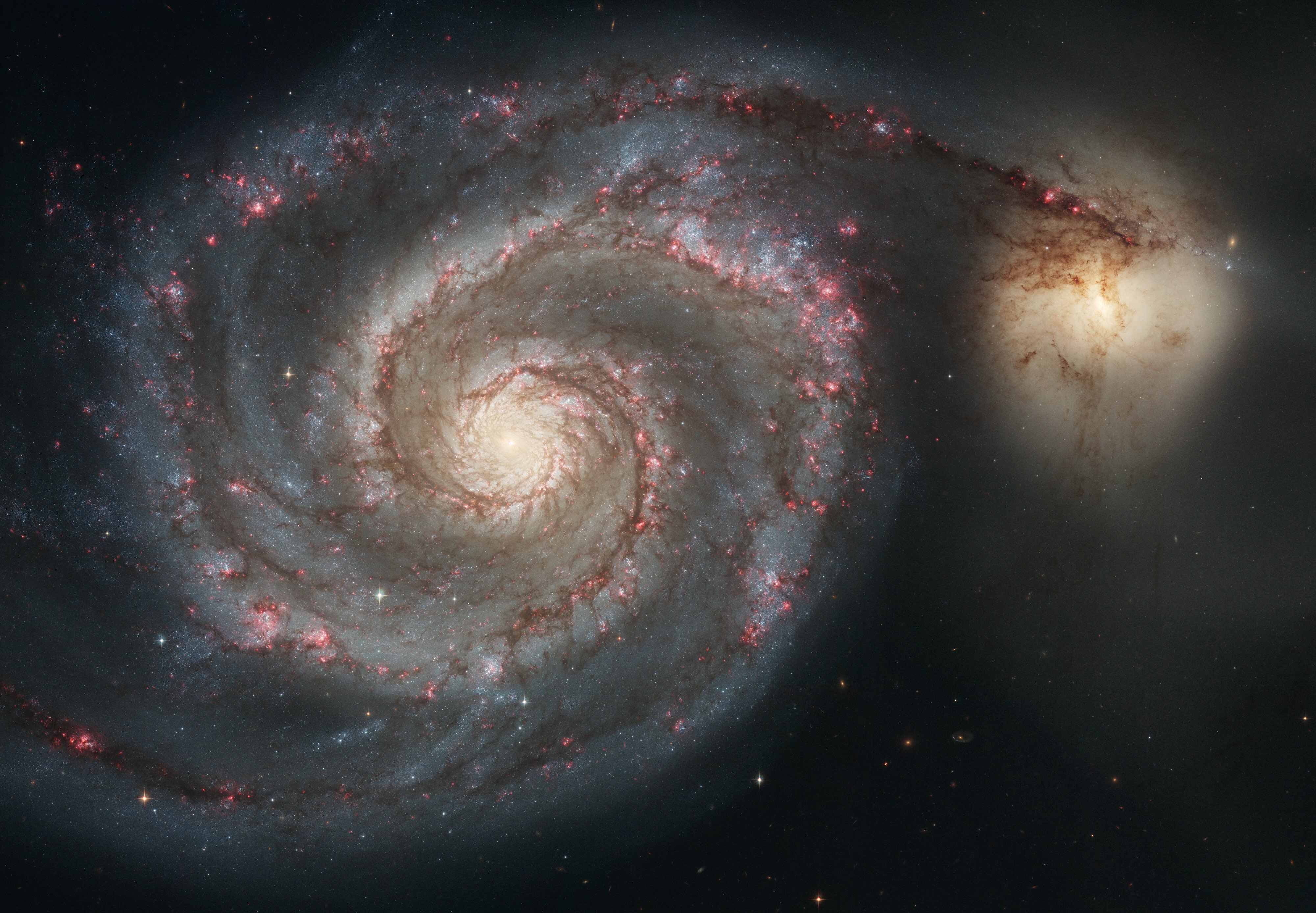 Galassia a spirale M51